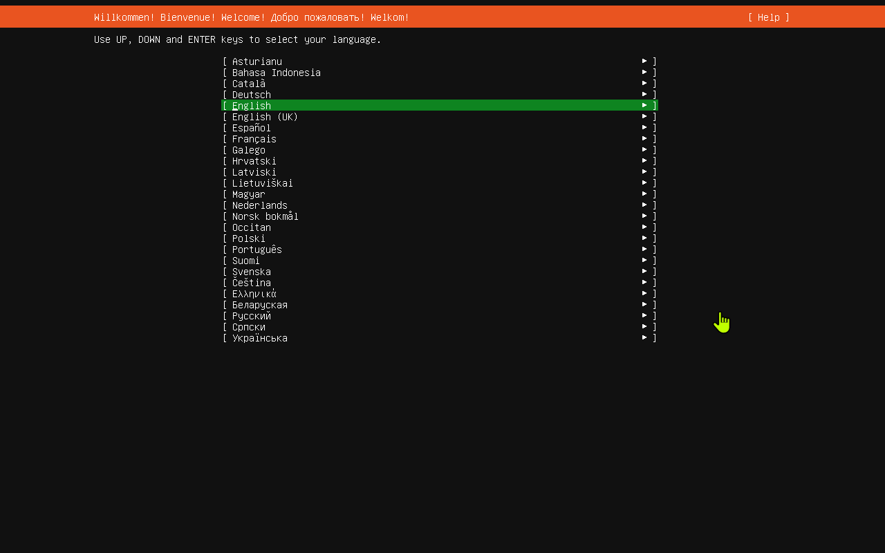 Ubuntu installer language selection